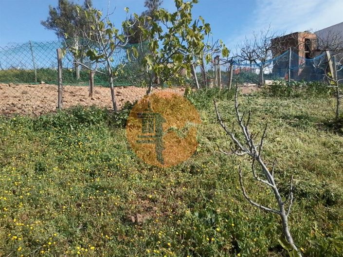 Image No.7-Plot for sale