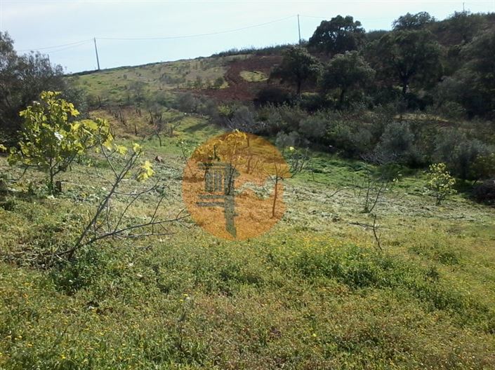 Image No.8-Plot for sale