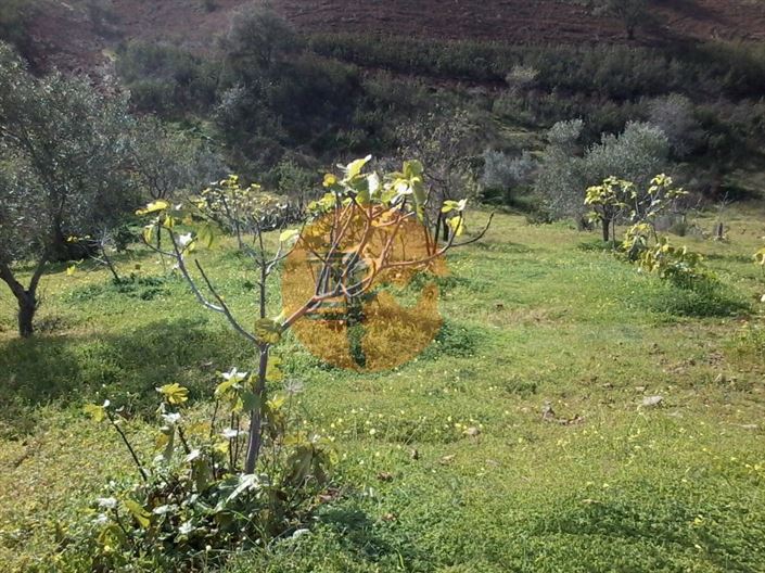 Image No.9-Plot for sale