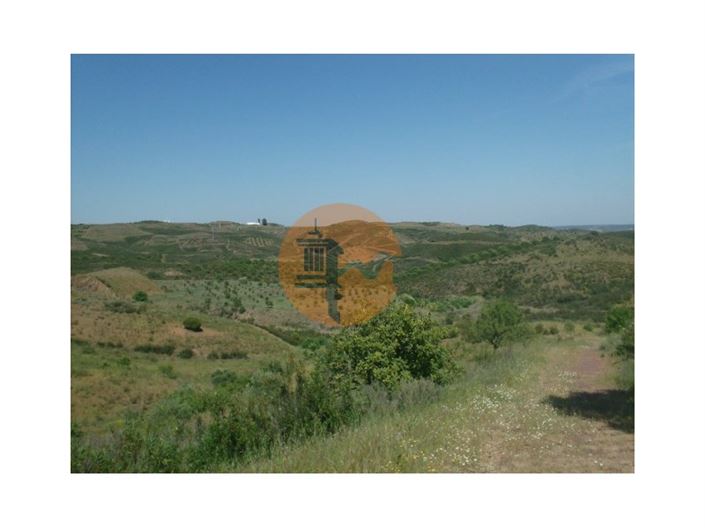 Image No.5-Plot for sale