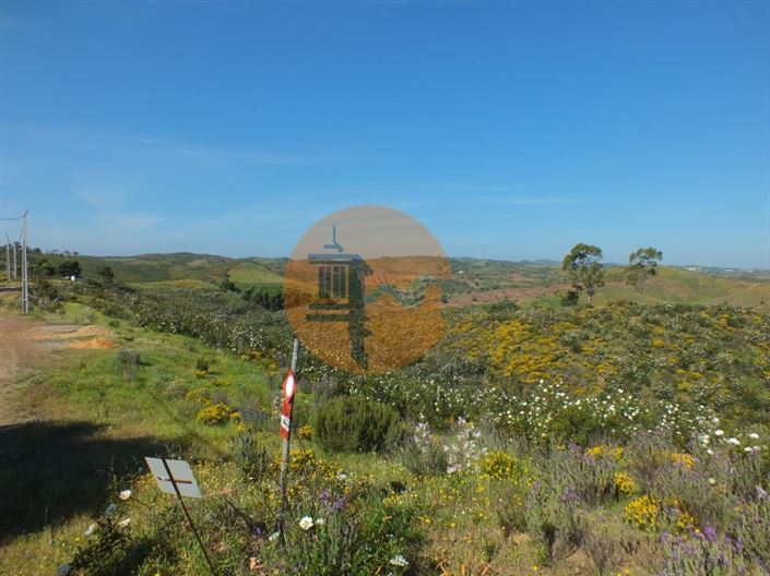 Image No.2-Plot for sale