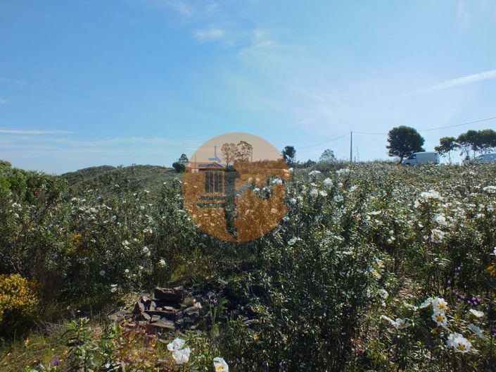 Image No.6-Plot for sale