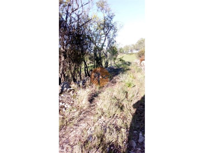 Image No.6-Plot for sale