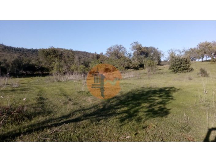 Image No.2-Plot for sale