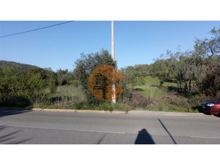 Image No.10-Plot for sale