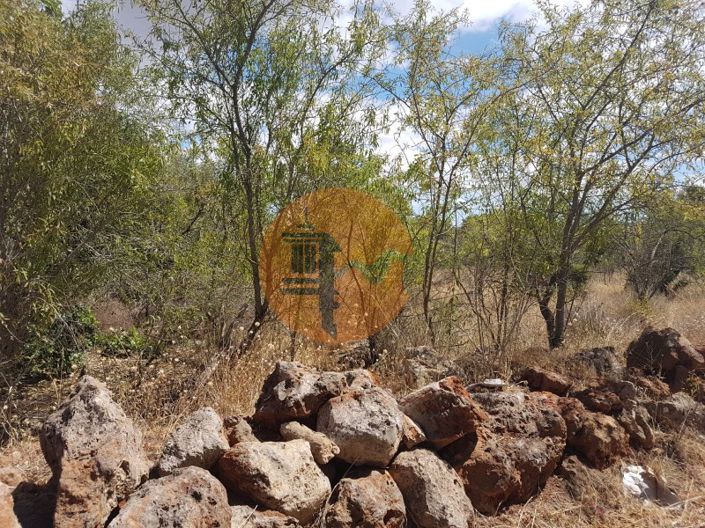 Image No.2-Plot for sale