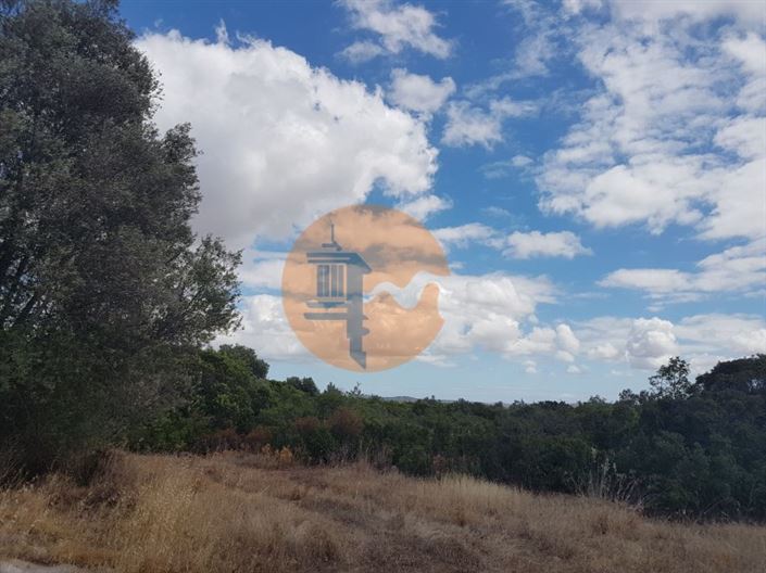 Image No.3-Plot for sale