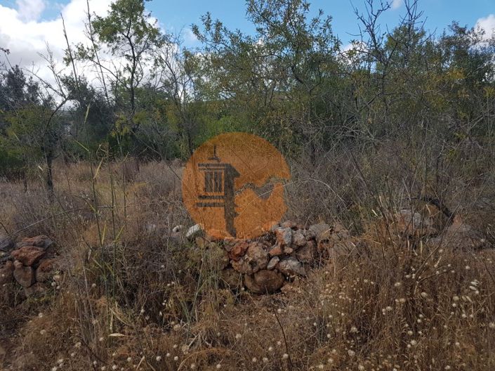 Image No.7-Plot for sale