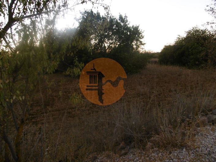 Image No.3-Plot for sale