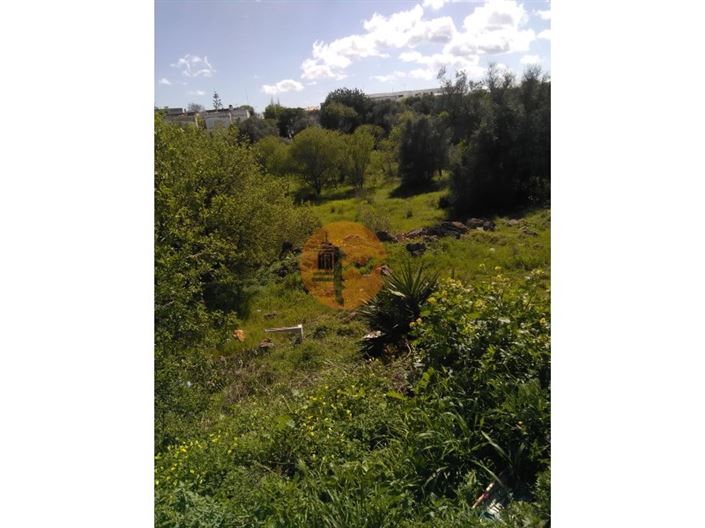 Image No.2-Plot for sale