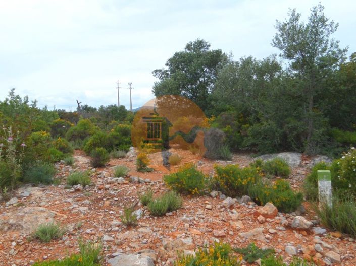 Image No.15-Plot for sale