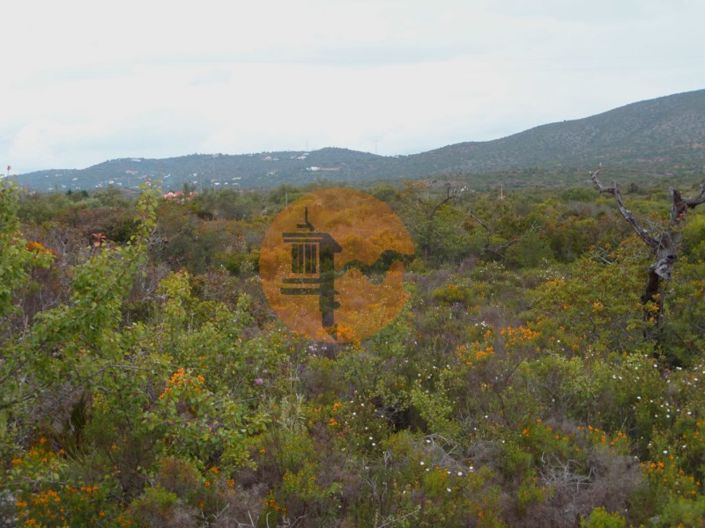 Image No.17-Plot for sale