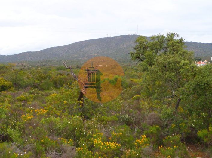 Image No.19-Plot for sale