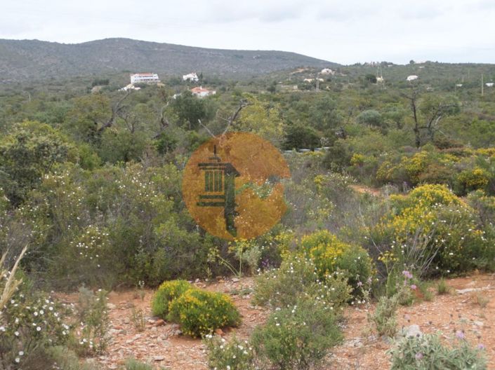 Image No.24-Plot for sale