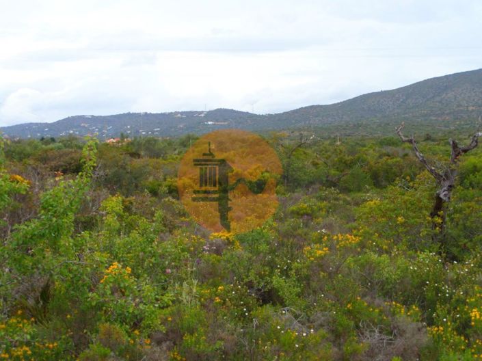 Image No.9-Plot for sale