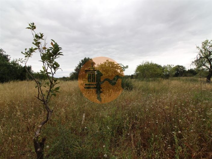 Image No.11-Plot for sale