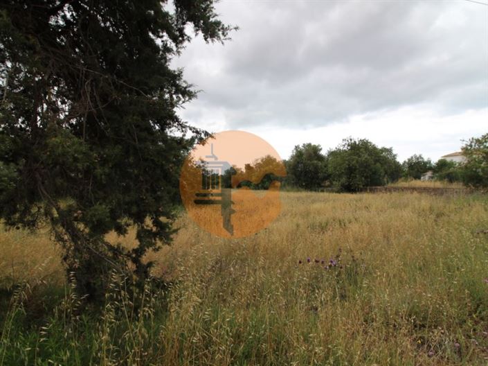 Image No.4-Plot for sale