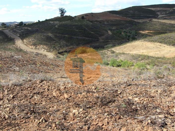 Image No.10-Plot for sale