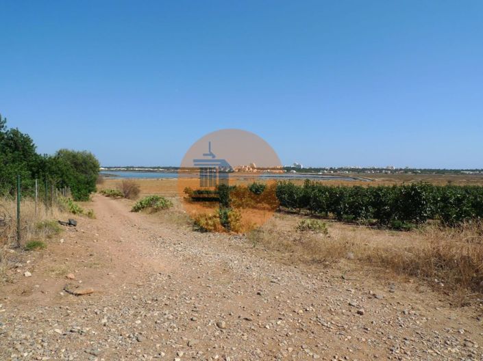 Image No.15-4 Bed Farmhouse for sale