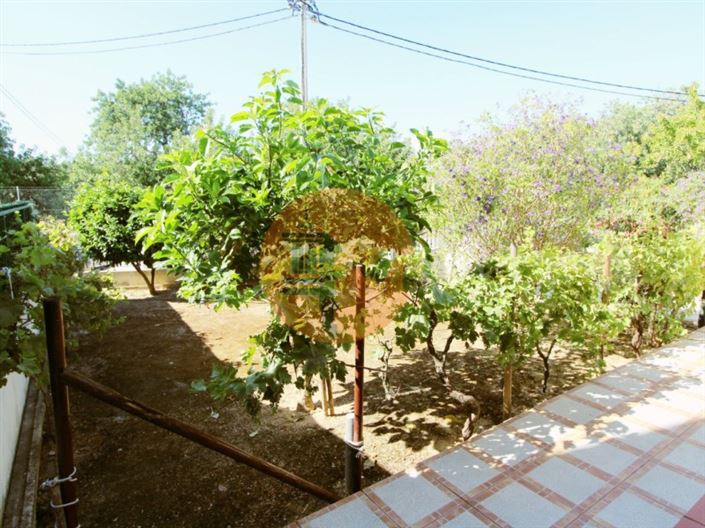 Image No.19-3 Bed House for sale