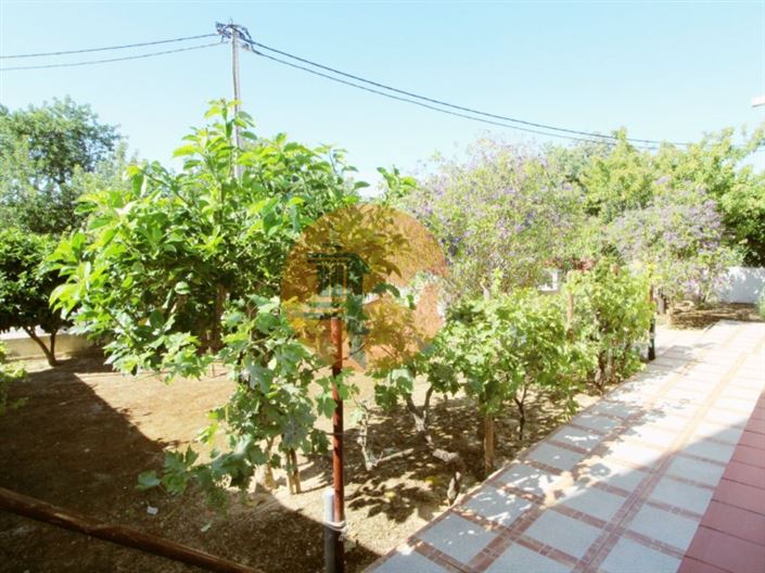 Image No.20-3 Bed House for sale