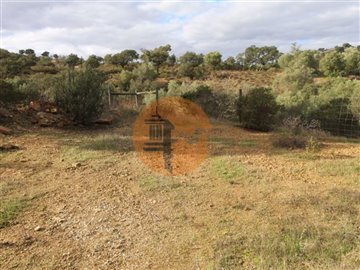 idedf79700-0000-0500-0000-000010b88a30