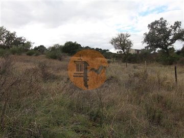 idedf79700-0000-0500-0000-000010b88a32