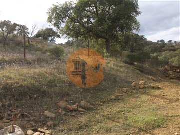 idedf79700-0000-0500-0000-000010b88a33