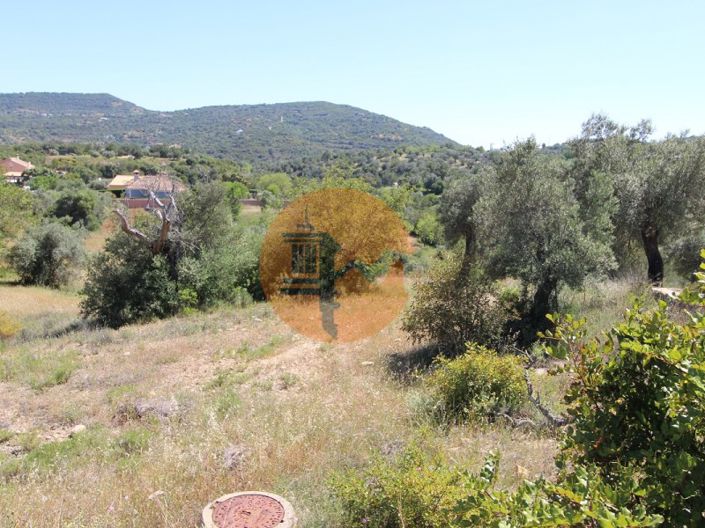 Image No.10-Plot for sale