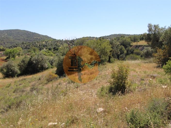 Image No.11-Plot for sale