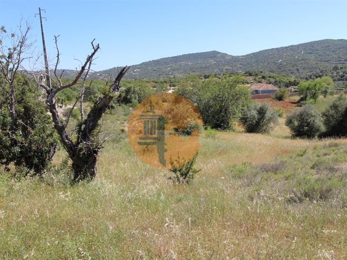 Image No.12-Plot for sale