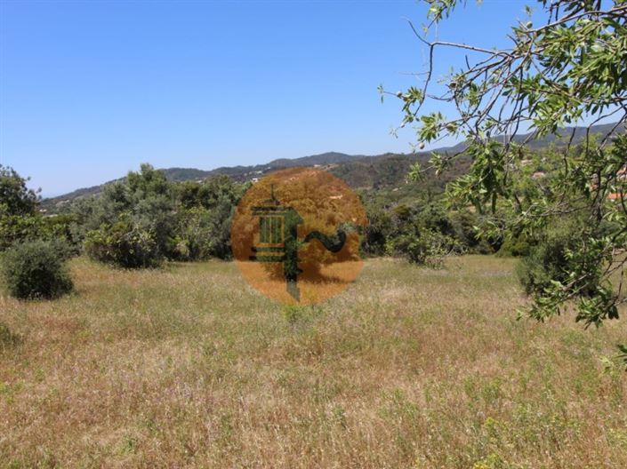 Image No.13-Plot for sale