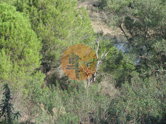 Image No.10-Plot for sale