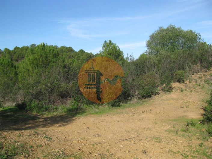 Image No.11-Plot for sale