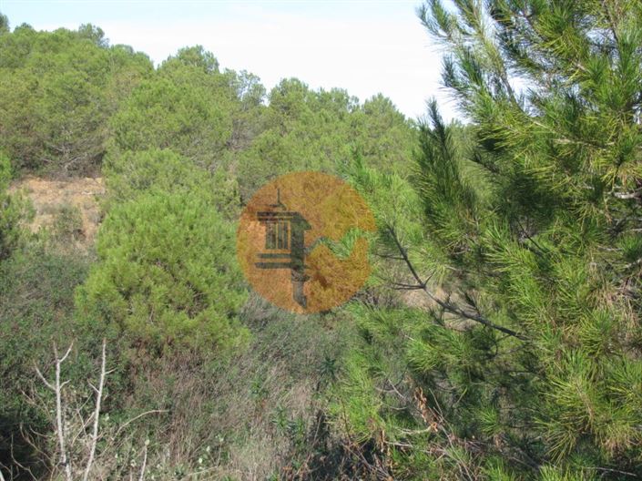 Image No.16-Plot for sale