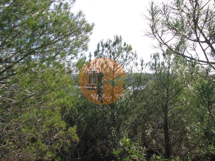 Image No.17-Plot for sale