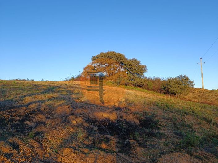 Image No.20-Plot for sale