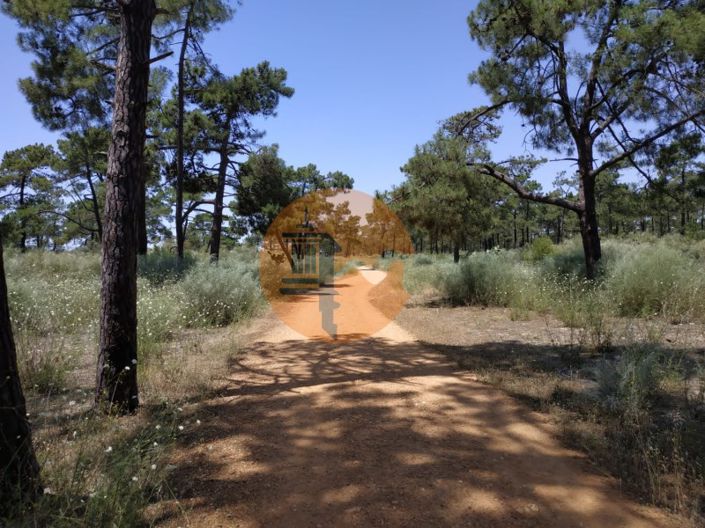 Image No.23-Plot for sale