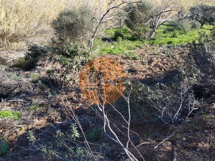 Image No.24-Plot for sale