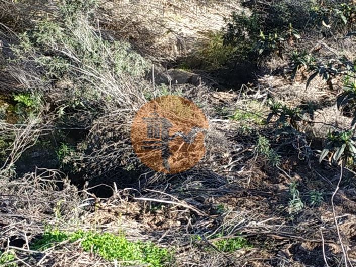 Image No.27-Plot for sale