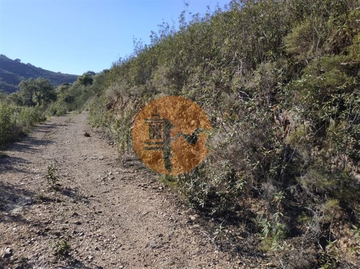 Image No.15-Plot for sale