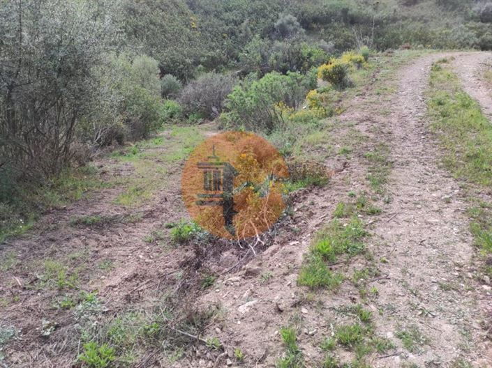 Image No.16-Plot for sale