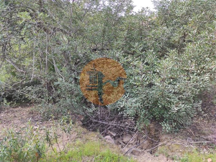 Image No.18-Plot for sale