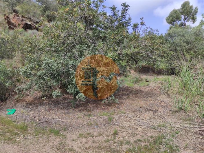 Image No.19-Plot for sale