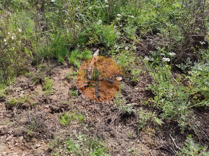 Image No.20-Plot for sale