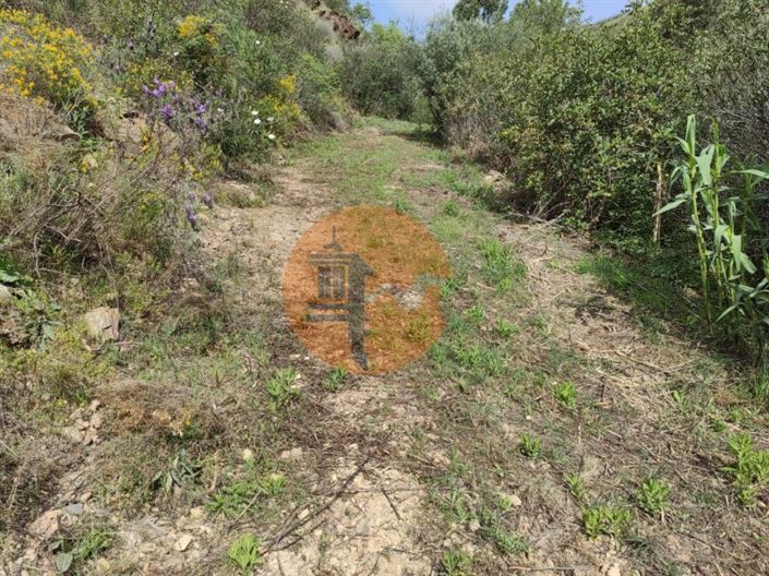 Image No.21-Plot for sale