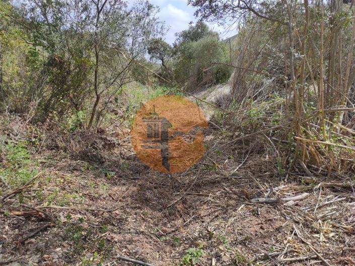 Image No.24-Plot for sale