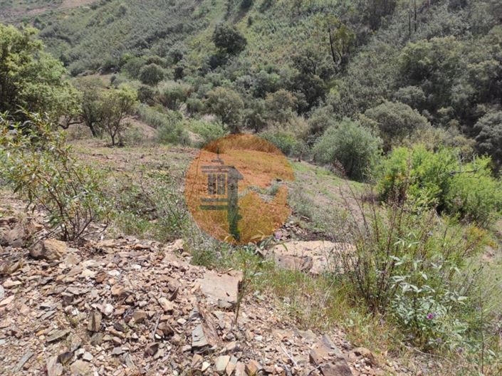 Image No.26-Plot for sale