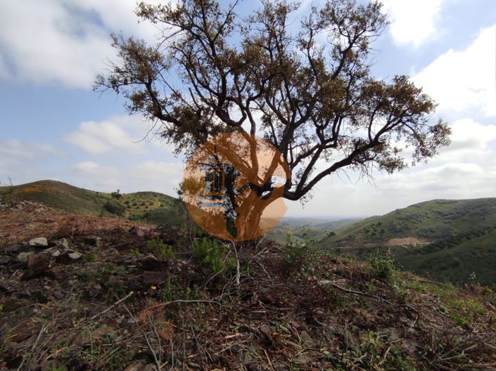 Image No.29-Plot for sale