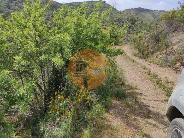 Image No.40-Plot for sale